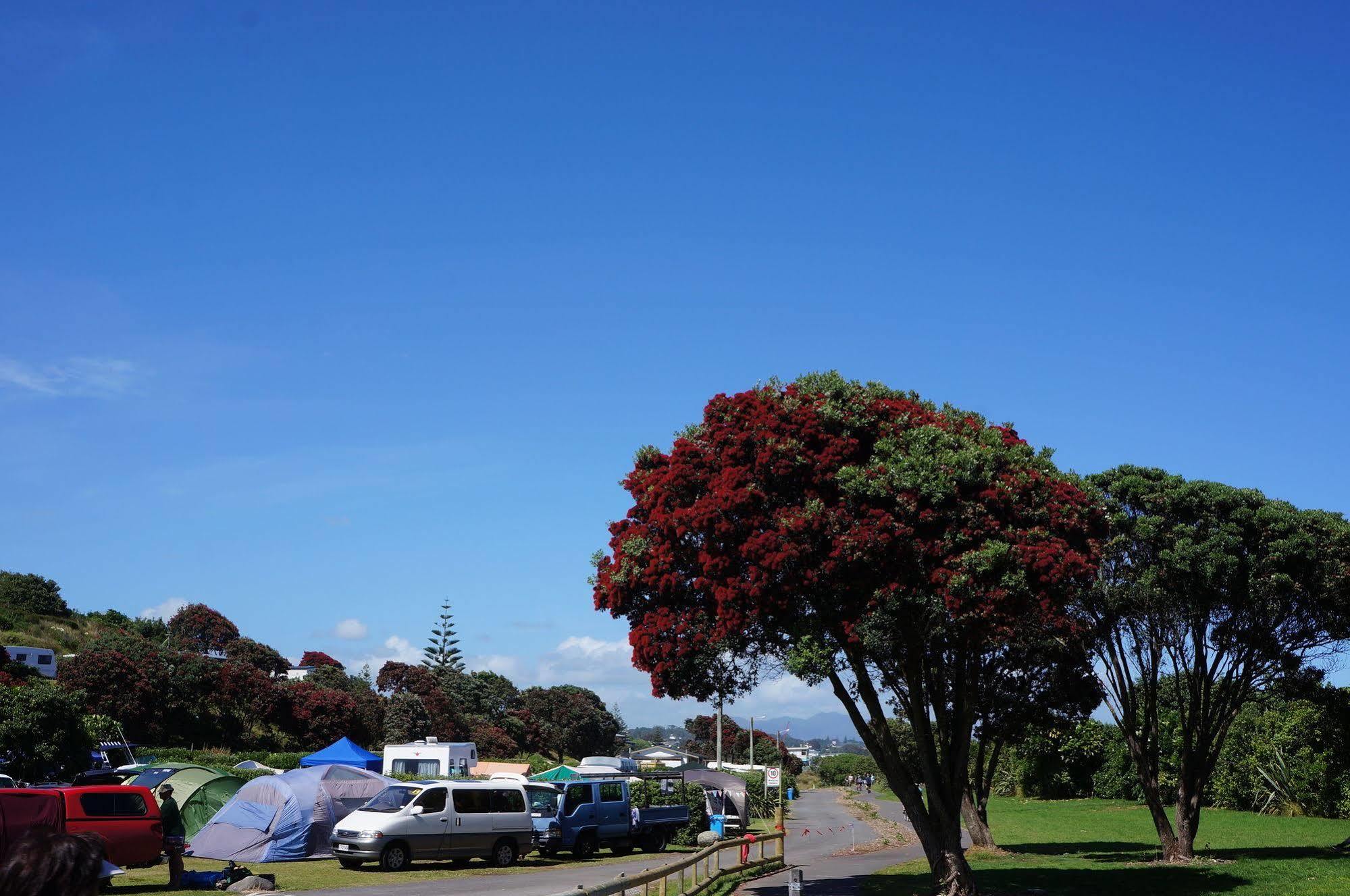 Fitzroy Beach Holiday Park Hotel New Plymouth Exterior photo